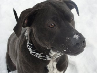 208899_10150147071514406_7521667_n