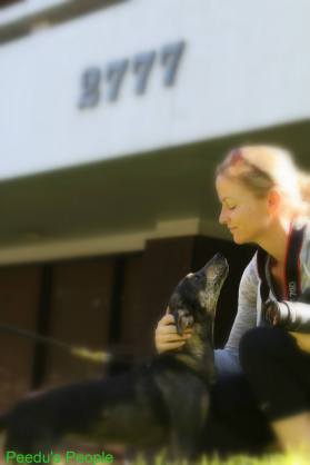 10974611_10153130019139406_4155677458903867860_o