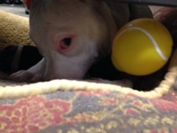 I spy with my good eye