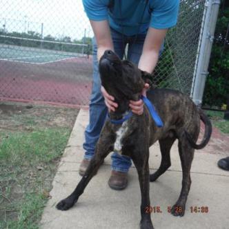 3a97d412-cc56-4935-bf16-a8850b360bd4