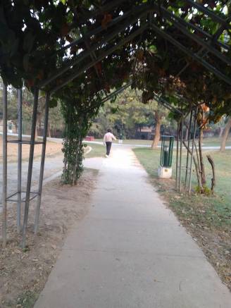 15310804_10154925947309406_728441927_o