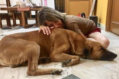 18519852_10155386718278707_7273558990753694600_n