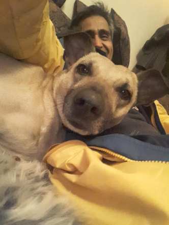 28783331_10156405840789406_9009343274798693127_n